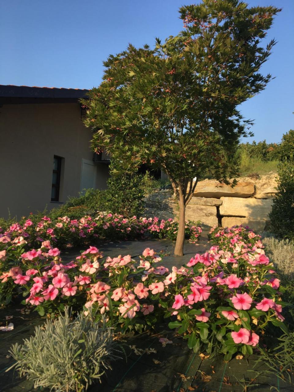Agriturismo Da Mamma Alba  Exterior photo